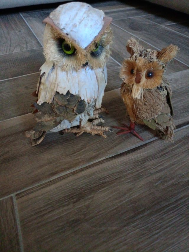 Coppia gufi in foglie di corteccia
