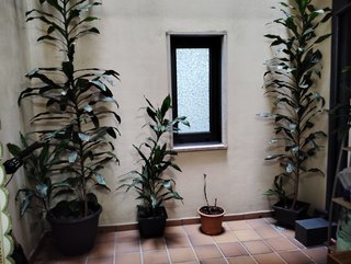 VIALIA PISO-GARAJE-TRASTERO