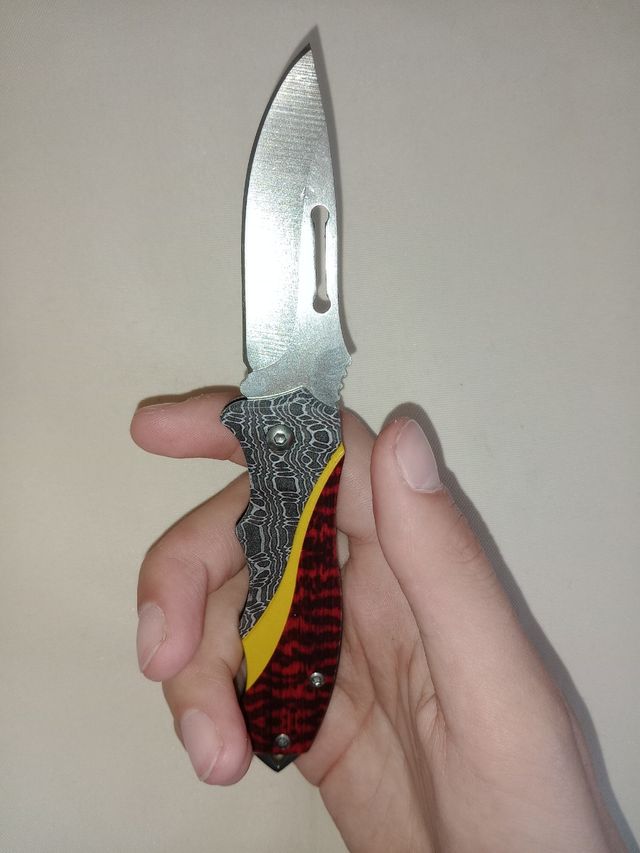 Lote acampada 4 productos