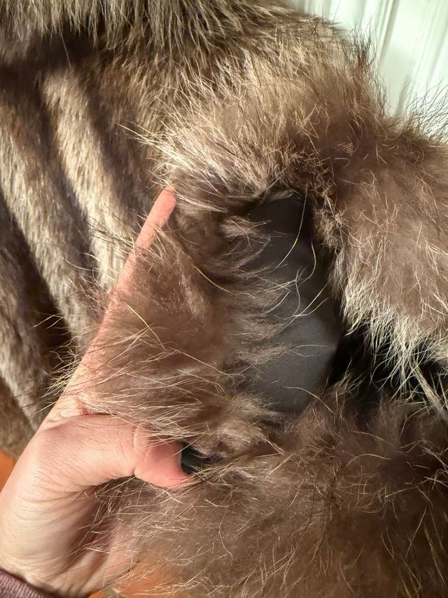 Pelliccia in marmotta