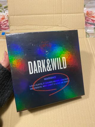 bts dark e wild