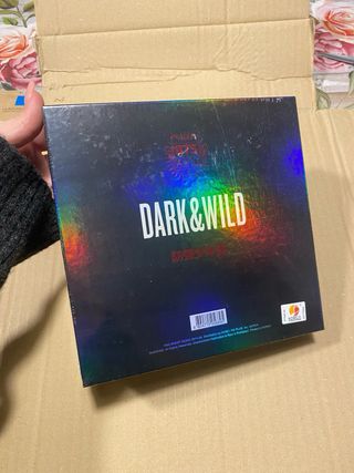 bts dark e wild