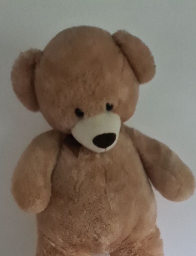 Peluche oso y rana