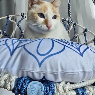 Hamaca gatos grande macramé