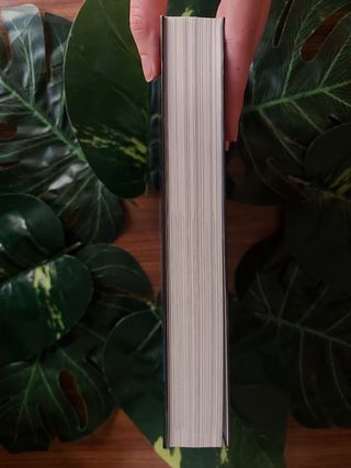 El bosque de las sombras