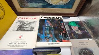 Introvabile lotto Bruno Cassinari - Libri Opere