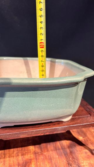 MACETA BONSAI SHOHIN RECTANGULAR FLOR VERDE PASTEL