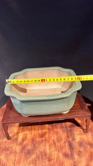 MACETA BONSAI SHOHIN RECTANGULAR FLOR VERDE PASTEL