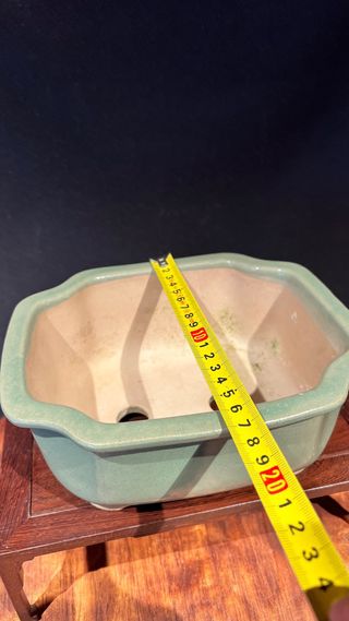 MACETA BONSAI SHOHIN RECTANGULAR FLOR VERDE PASTEL