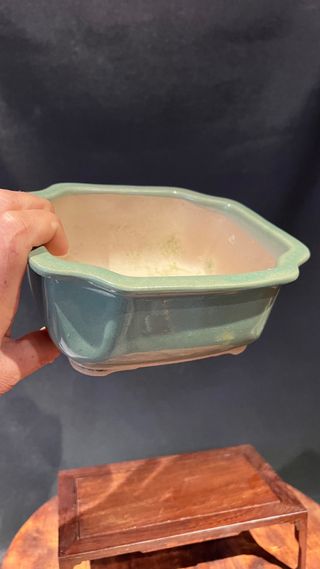 MACETA BONSAI SHOHIN RECTANGULAR FLOR VERDE PASTEL