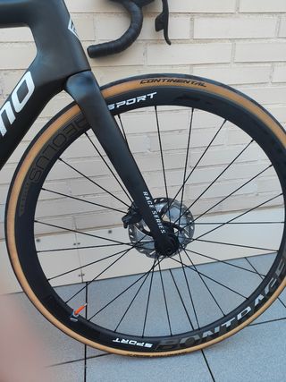 Megamo pulse elite axs