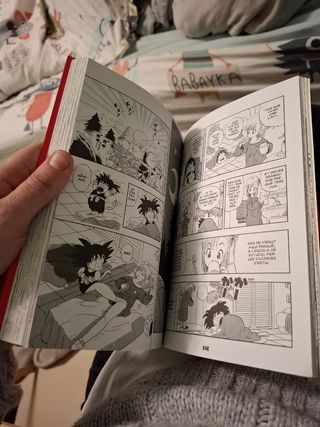 Bola de Drac nº 01/34 PDA