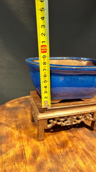 MACETA BONSAI MAME SHOHIN RECTANGULAR AZUL