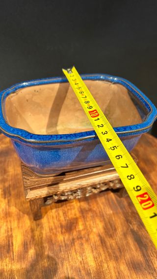 MACETA BONSAI MAME SHOHIN RECTANGULAR AZUL