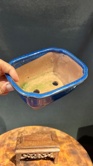 MACETA BONSAI MAME SHOHIN RECTANGULAR AZUL