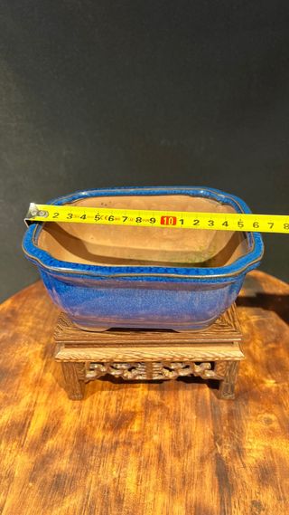 MACETA BONSAI MAME SHOHIN RECTANGULAR AZUL
