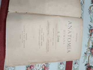 Libro Anatomía Humana L.Testut