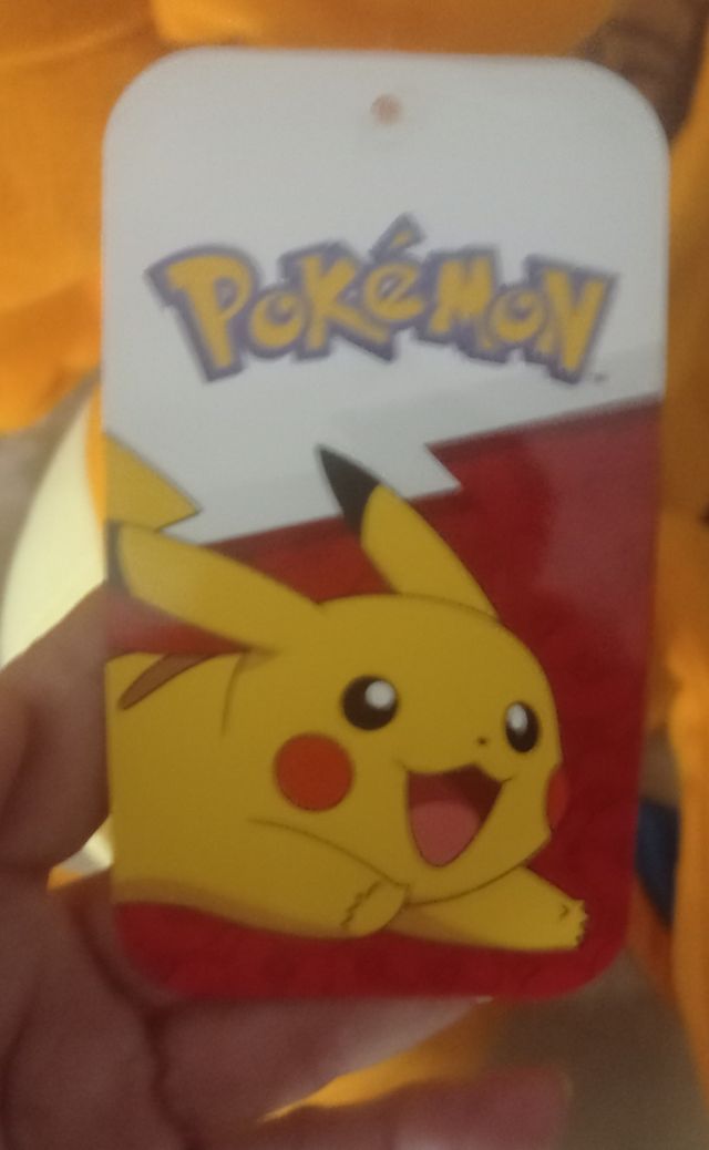 Charizard Pokemon 59 cm