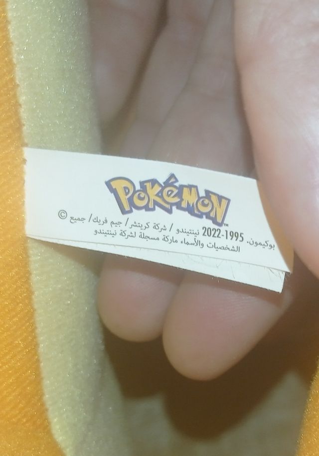 Charizard Pokemon 59 cm