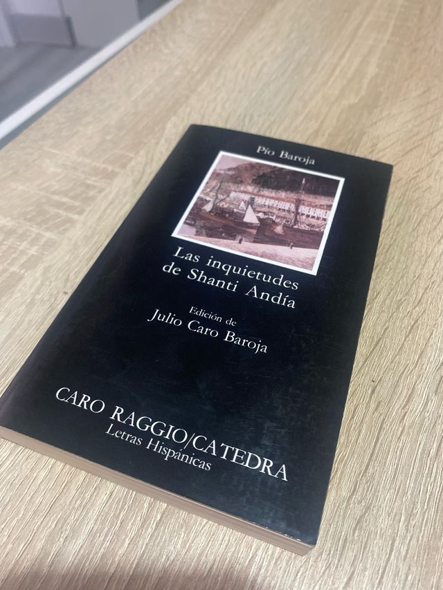 Las inquietudes de Shanti Andía