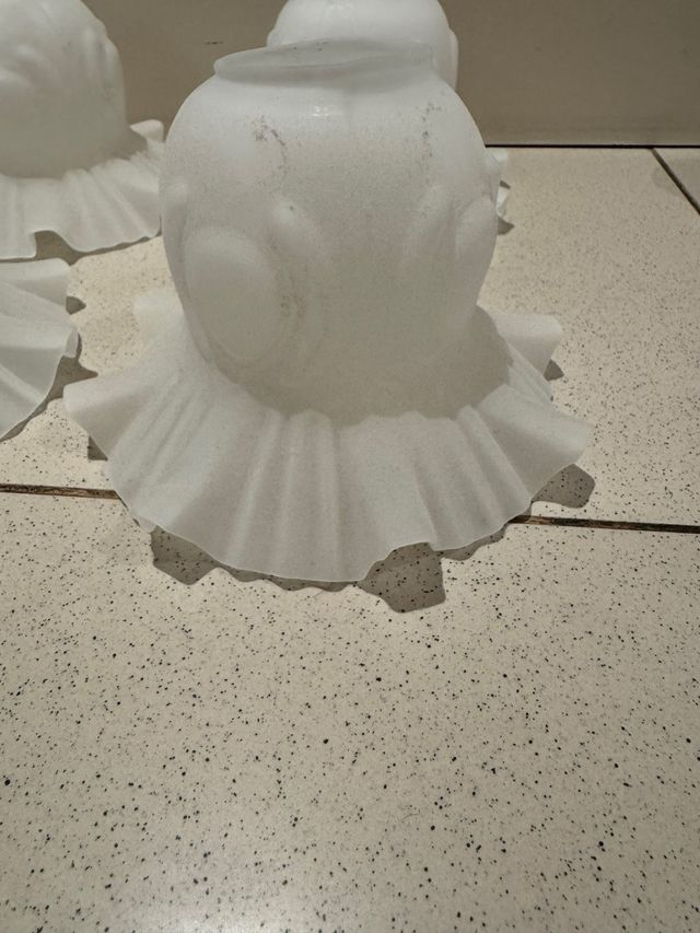 Tulipas o globos de cristal para lamparas