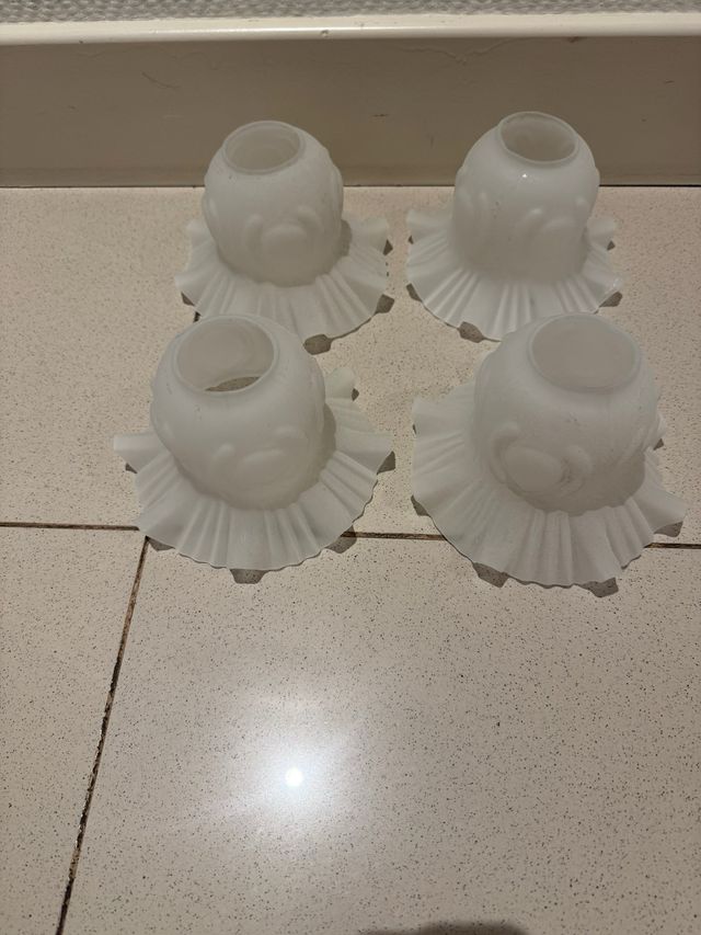 Tulipas o globos de cristal para lamparas