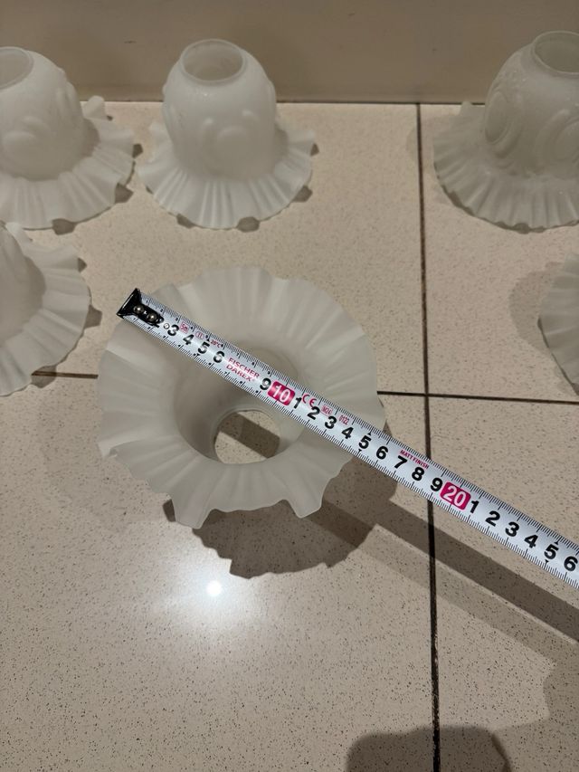 Tulipas o globos de cristal para lamparas