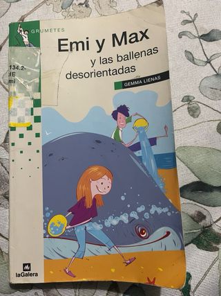 Emi y max