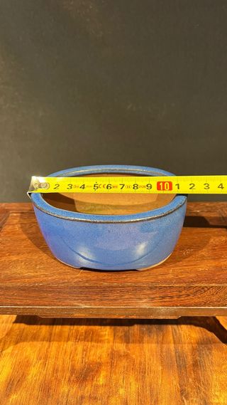 MACETA BONSAI MAME SHOHIN OVALADA AZUL