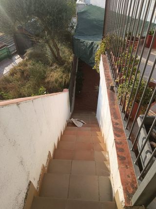 Hostal para Perros(Cuidador Canino)