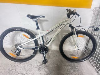 Bicicleta Specialized montaña