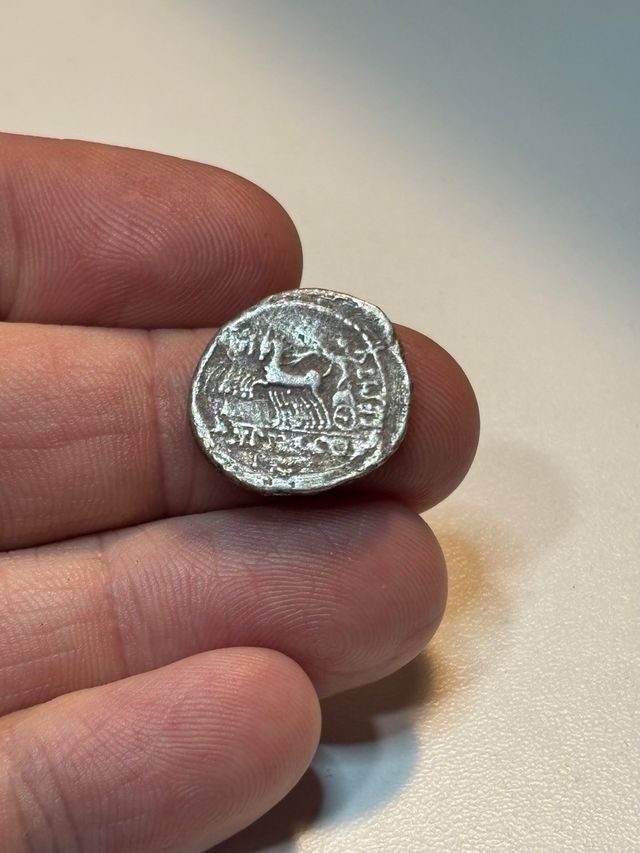 Denario Publio Plautio Hypsaeus 60 aC  Roma