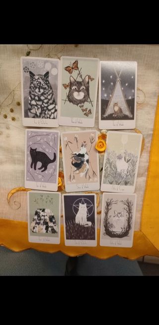 Carte tarocchi Considerate Cat 78 cards