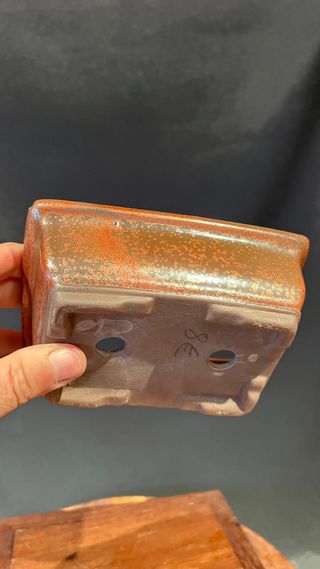 MACETA BONSAI MAME SHOHIN RECTANGULAR OCRE