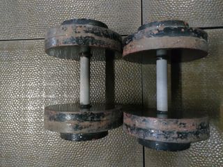 Mancuernas Pesas 27KG