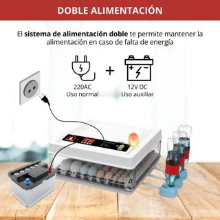 🐤Incubadora Huevos Gallina - Incubadora