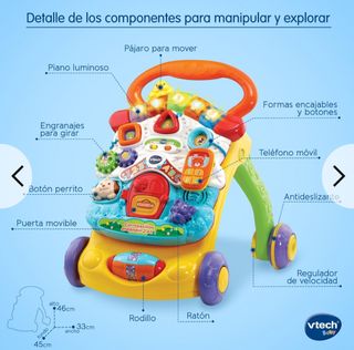 Correpasillos Vtech Baby Andandin