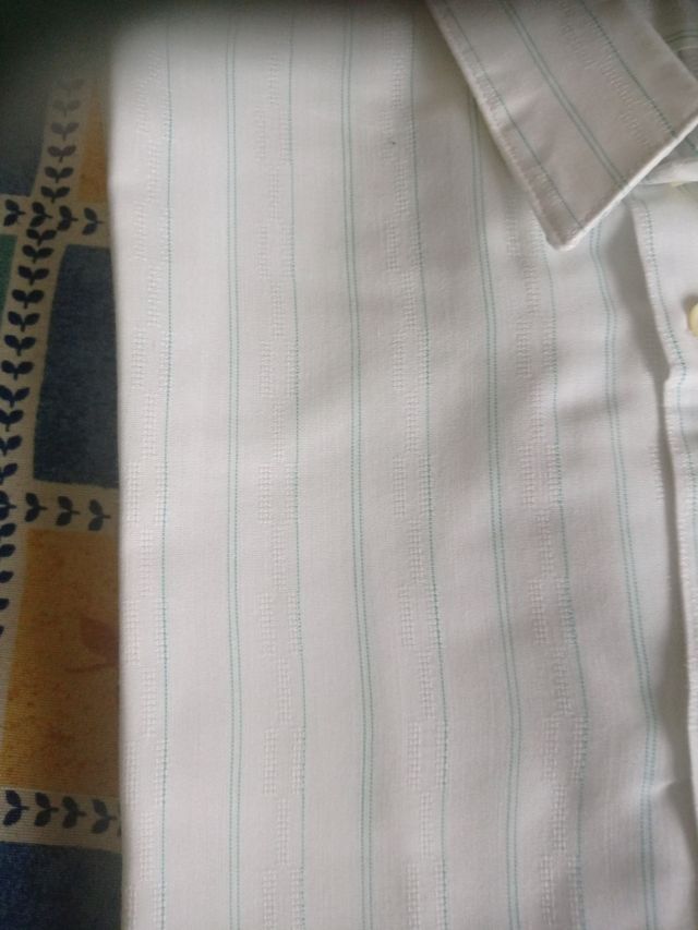 Camisas de caballero