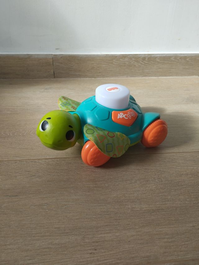 Tortuga primeros gateos