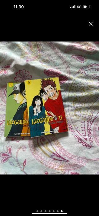lote mangas variados