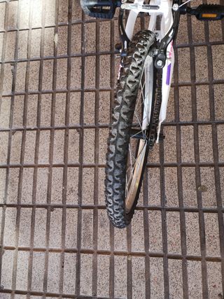 Bicicleta 20 pulgadas