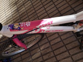 Bicicleta 20 pulgadas