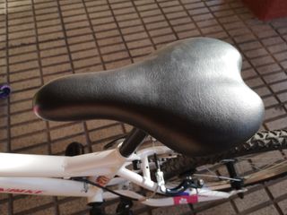 Bicicleta 20 pulgadas