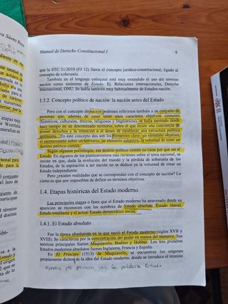 Manual de Derecho Constitucional I