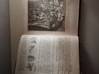 Libro Don Quijote de la Mancha