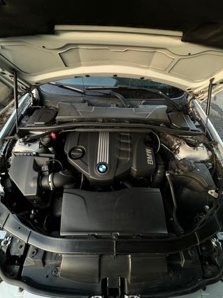 BMW Serie 3 2010