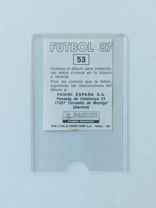MARK HUGHES 53 FUTBOL 87 PANINI