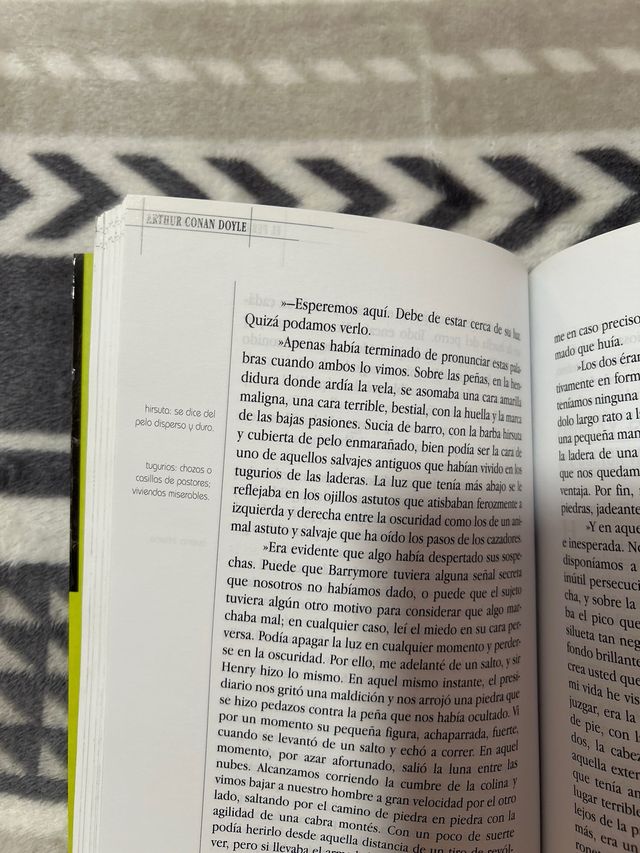 El perro de los Baskerville Clasicos juveniles