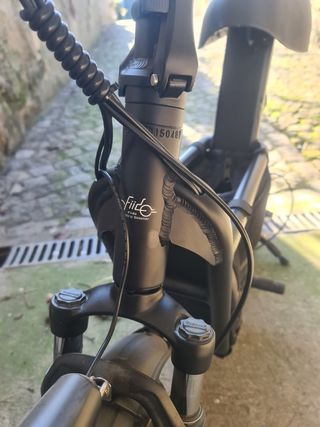 Bicicleta  FIIDO Q1S