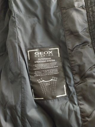 Plumas GEOX 